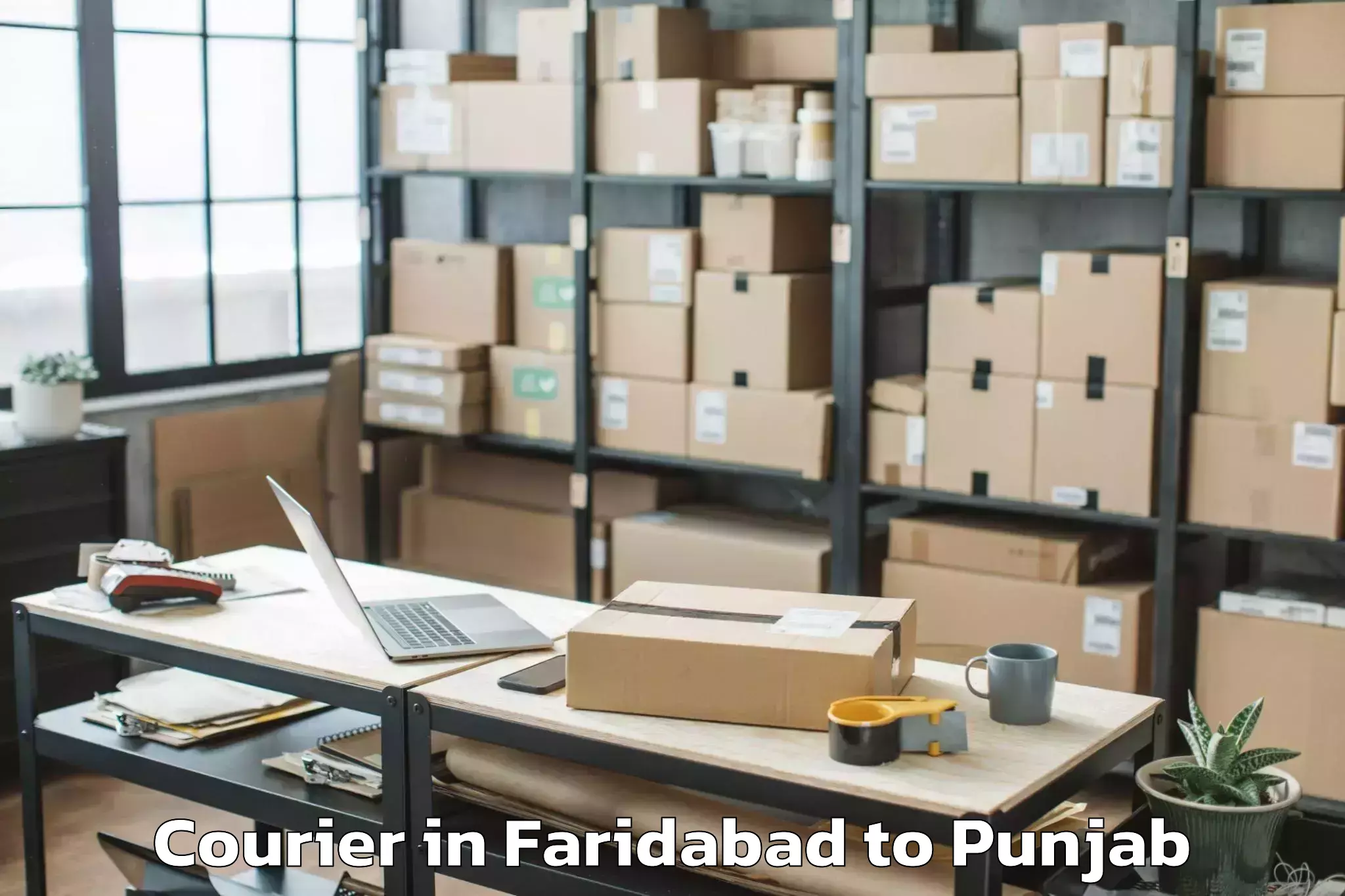 Efficient Faridabad to Dasuya Courier